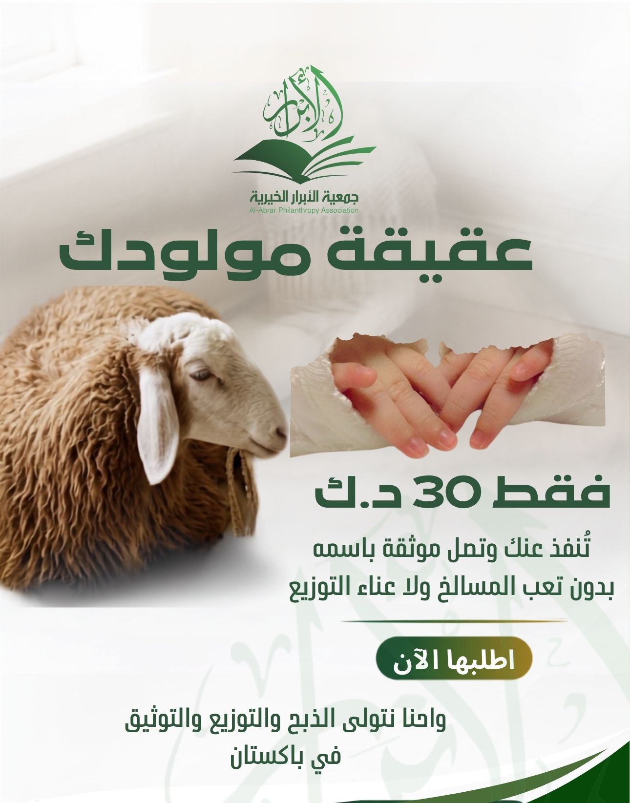 ذبائح عقيقة مولود